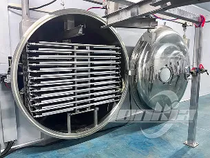 LONKIA Machinery Project Cases