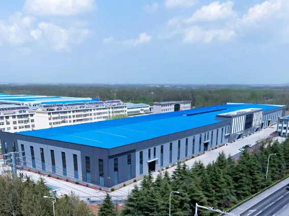 Leading Manufacturer of Freeze Dryers & Quick Freezing Solutions