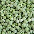 Pea