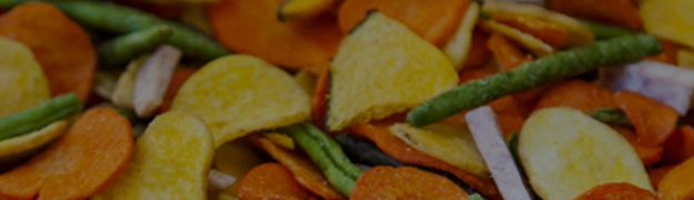 Vegetable Freeze Dryer