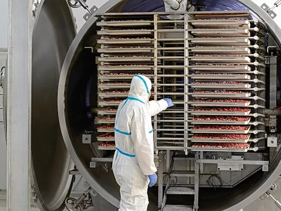 Customized Food Freeze Dryer Solutions