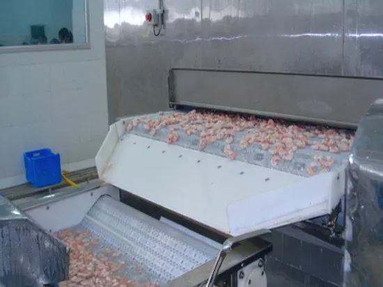 Customized Quick Freezing Machines