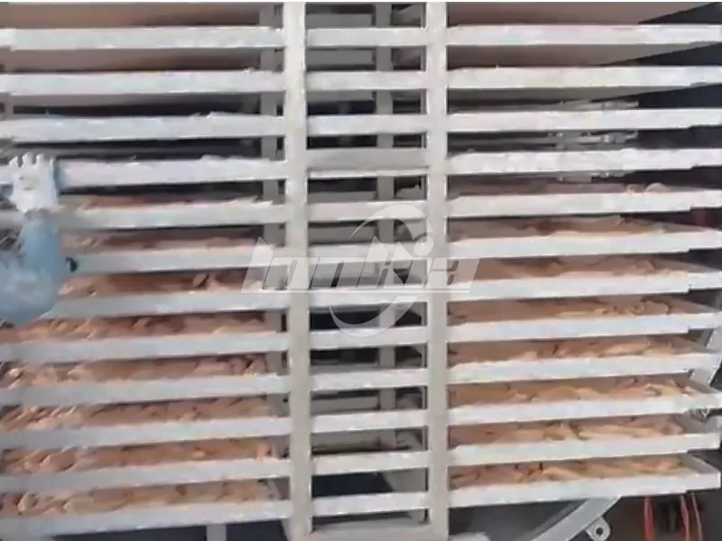 Durable Chicken Freeze Dryer for High Efficiency Meat Processing