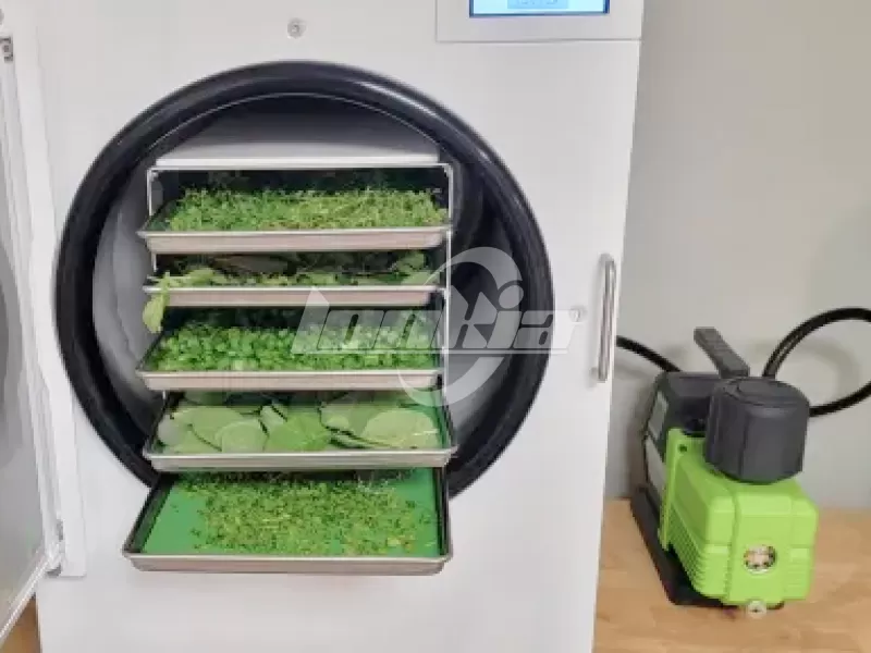 freeze drying equipment