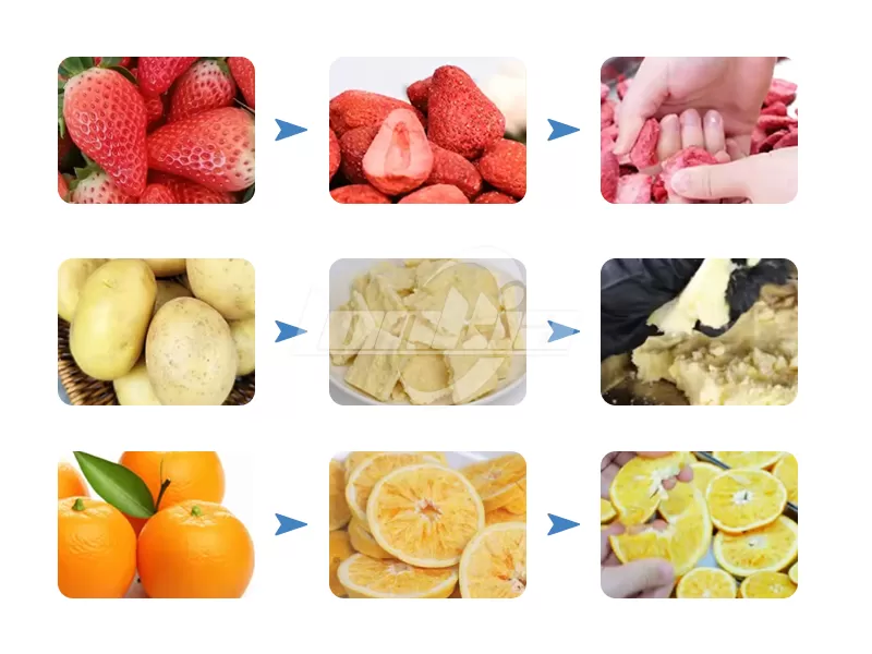 Small Home Freeze Dryer 10kg