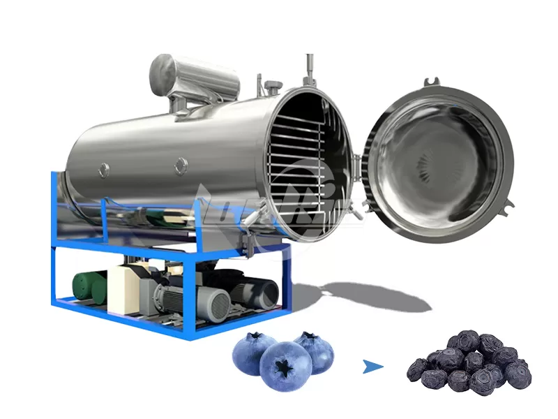 Blueberry Freeze Dryer