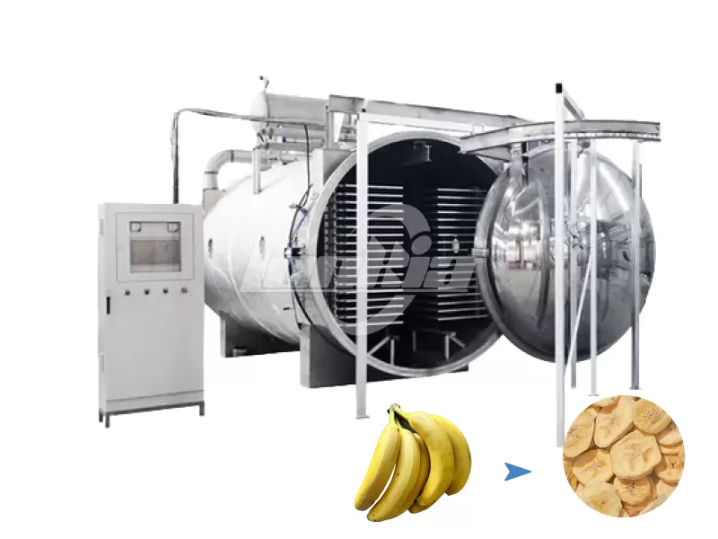 Banana Freeze Dryer
