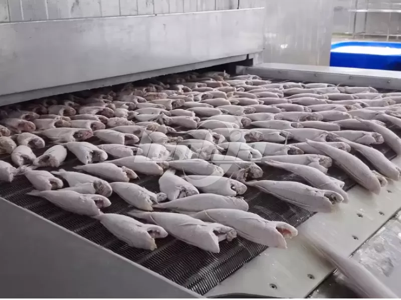 IQF Tunnel Freezer