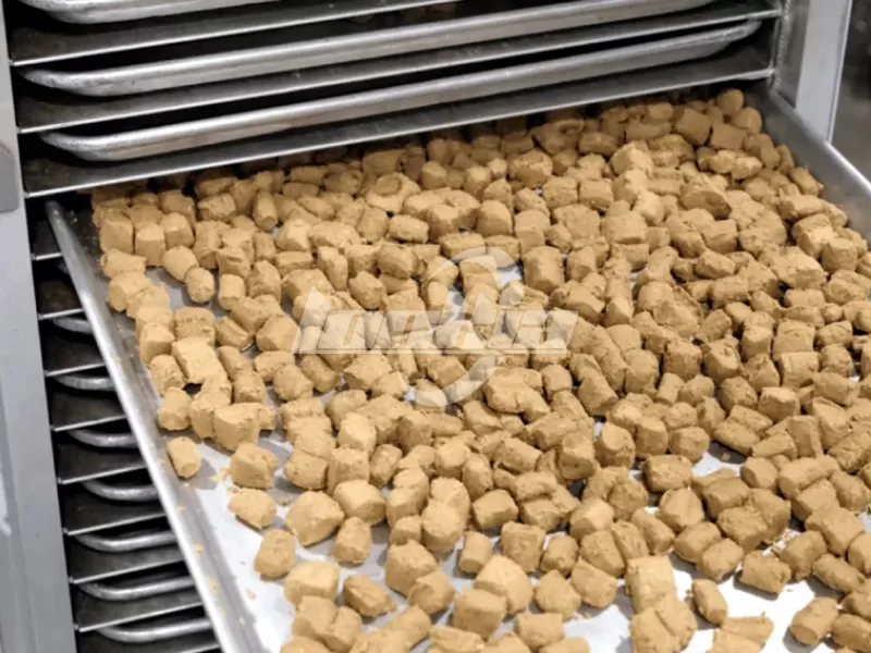 Dog Food Freeze Dryer
