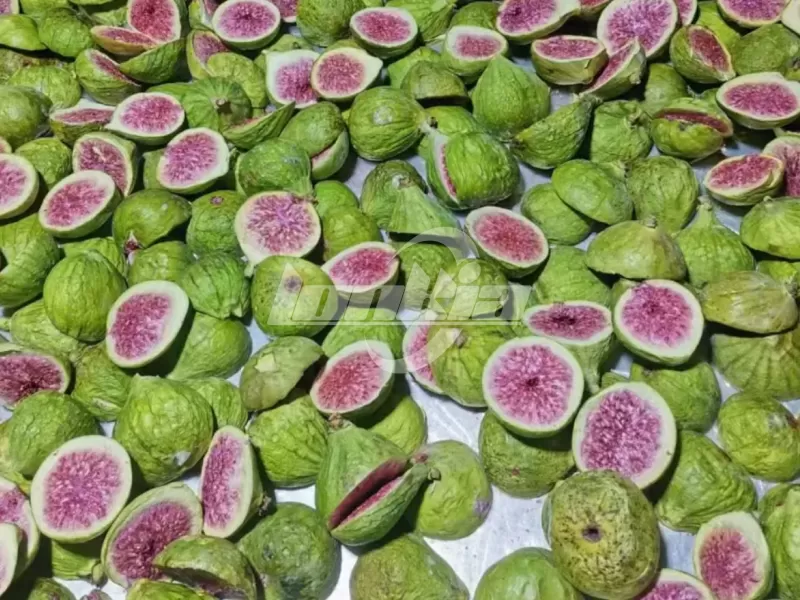 freeze dried figs