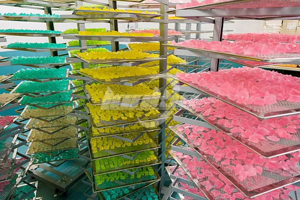 Candy Freeze Dryer Machine: Complete Buying Guide for Beginners