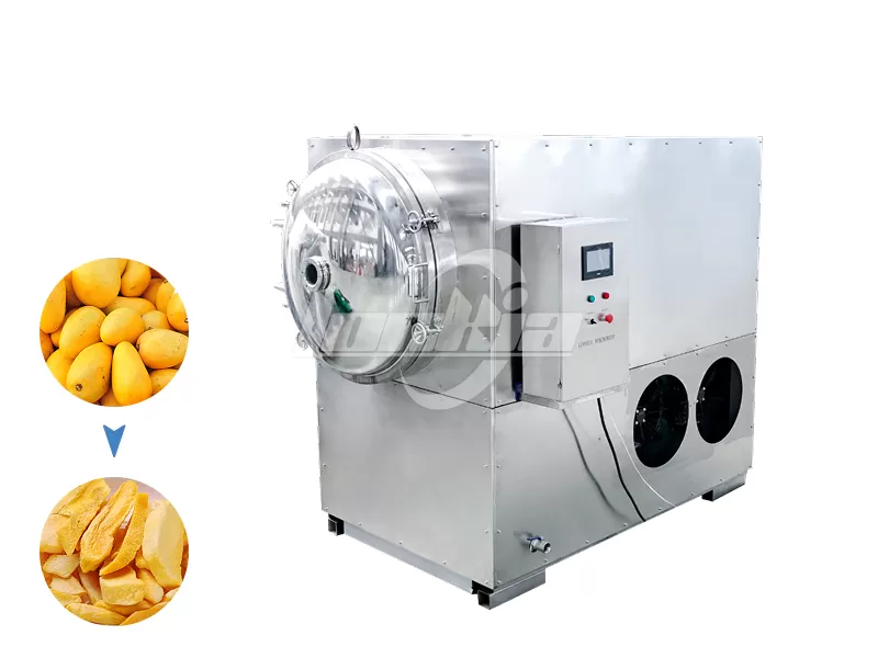 Mango Freeze Dryer