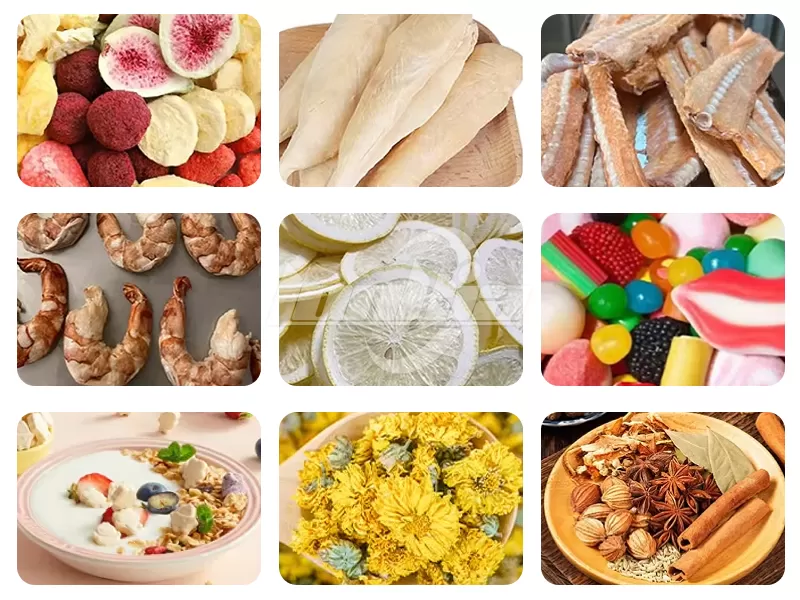 Large Home Freeze Dryer 30kg