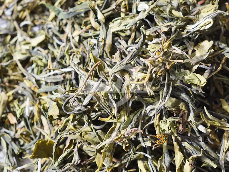freeze dried tea