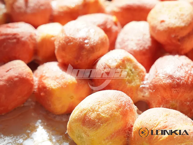 What Foods Can Be Processed by a Freeze Food Dryer?