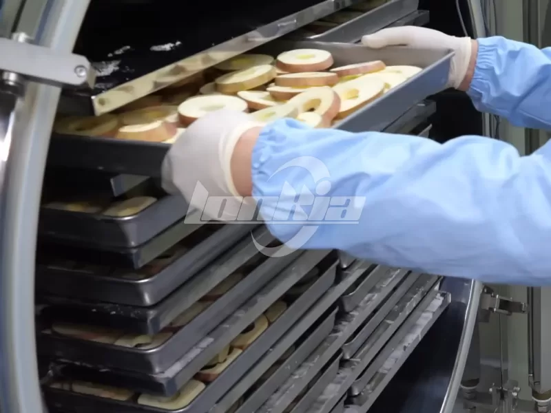 Freeze Dryer Fruits: Why Freeze Drying Is Perfect for Fruit Preservation