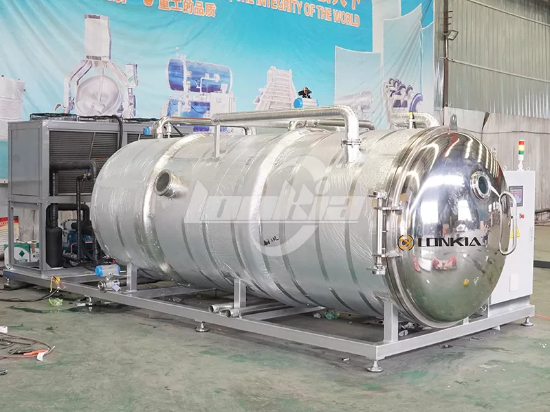 What Foods Can Be Processed by Freeze Dryer Machines?