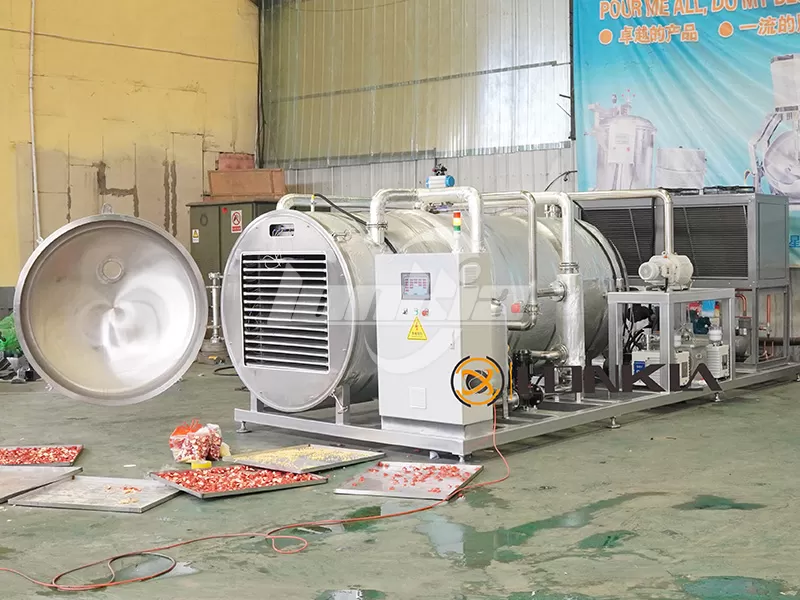 What Foods Can Be Processed by Freeze Dryer Machines?