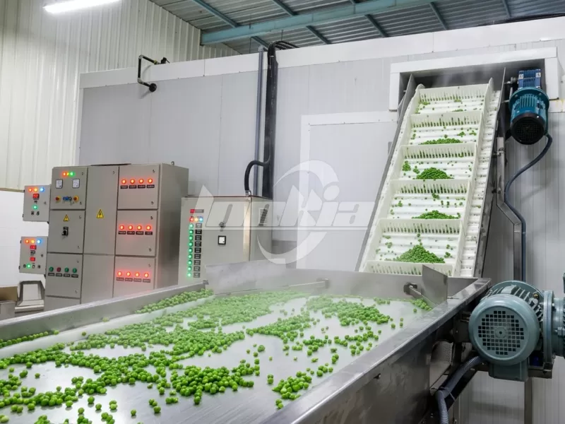 IQF Fluidized Bed Freezer