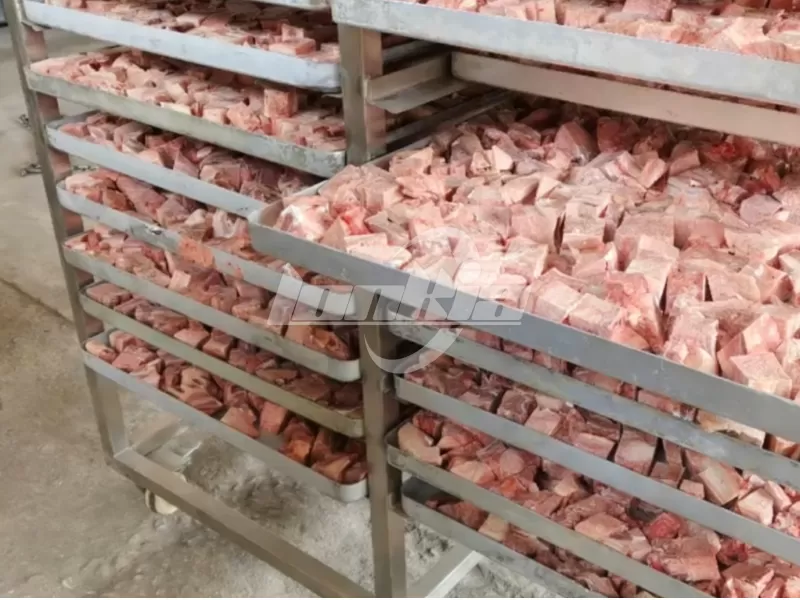 Best Meat Freeze Dryer for Meat Factory