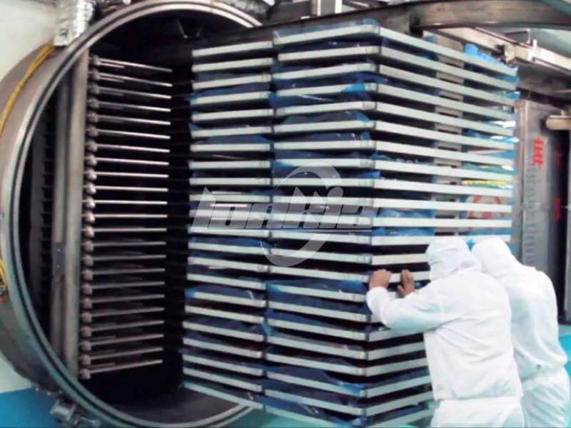 Automatic Egg Yolk Pellet Freeze Dryer