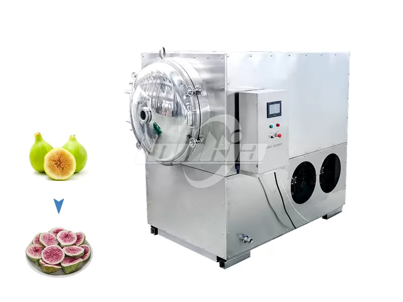 Fig Freeze Dryer
