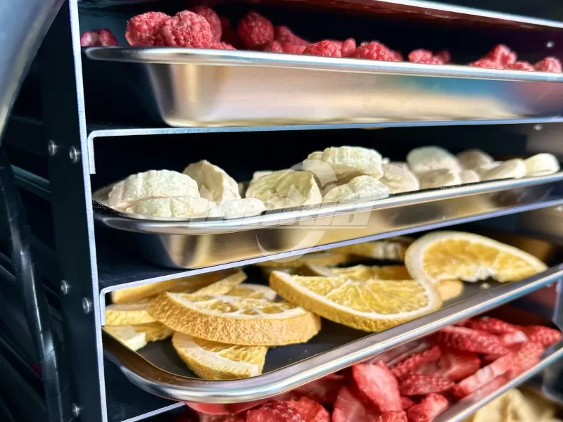 Medium Home Freeze Dryers 20kg