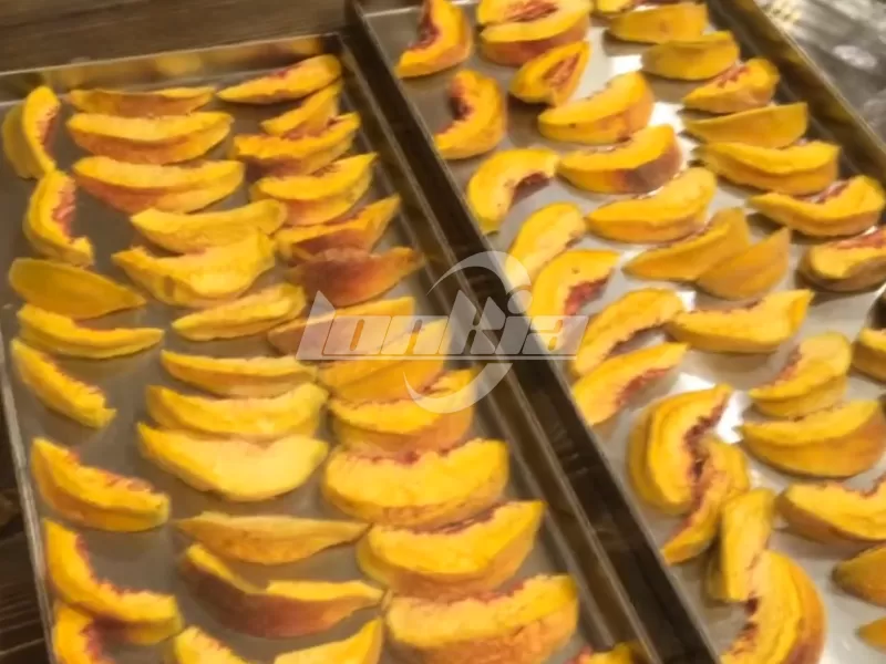 Peach Freeze Dryer