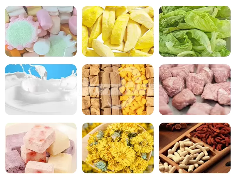 Medium Home Freeze Dryers 20kg