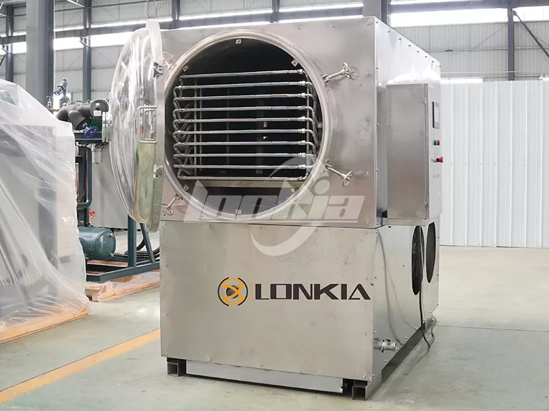 Small Freeze Dryer