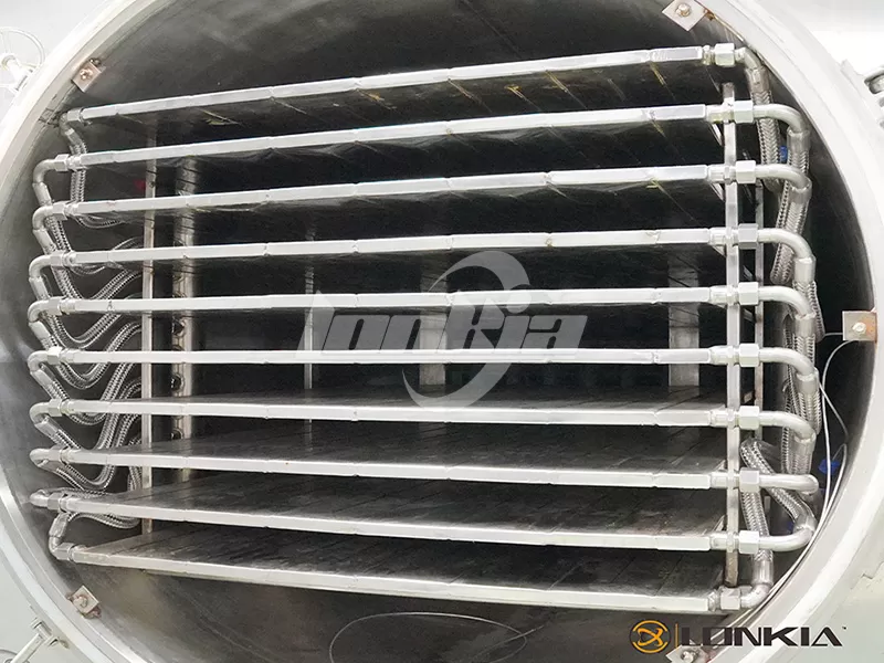 Small Freeze Dryer details