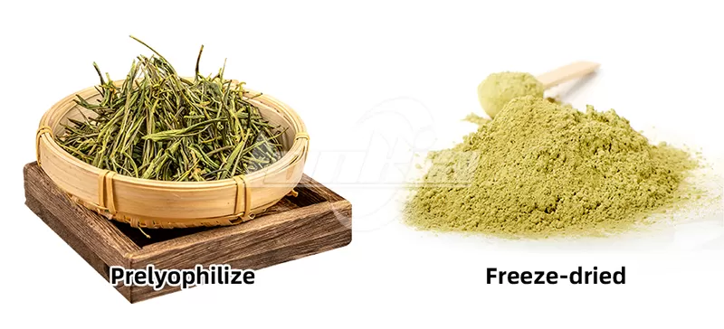 Large-Scale Tea Powder Freeze Dryer for Sale