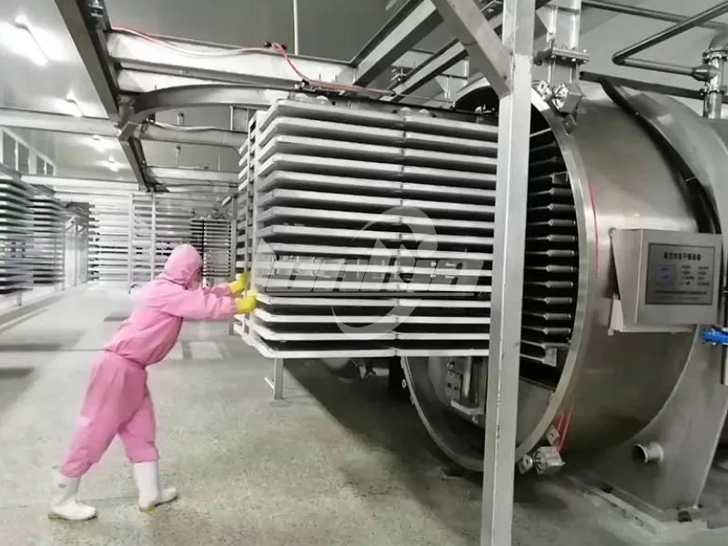 Freeze Dryer for Sale: How to Choose the Best Freeze Dryer for Your Needs