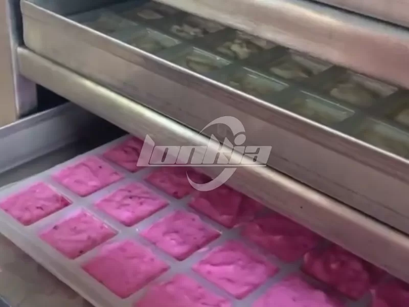 Yogurt Freeze Dryer