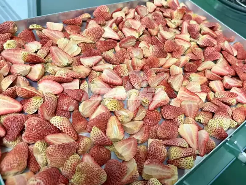 Strawberry Freeze Dryer