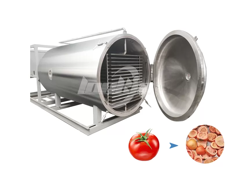 Tomato Freeze Dryer