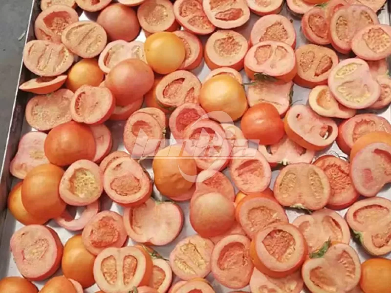 Tomato Freeze Dryer