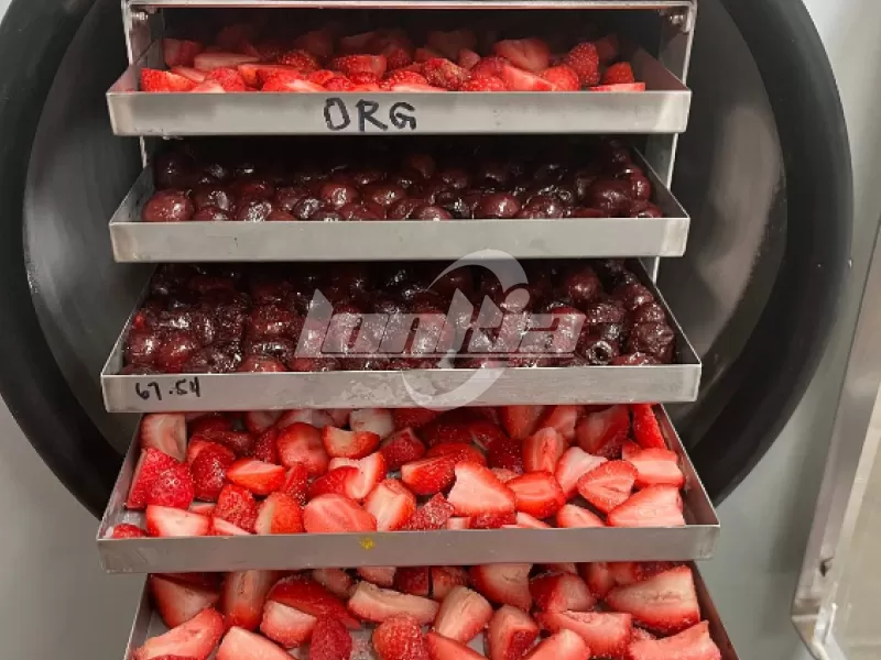 Small Home Freeze Dryer 10kg