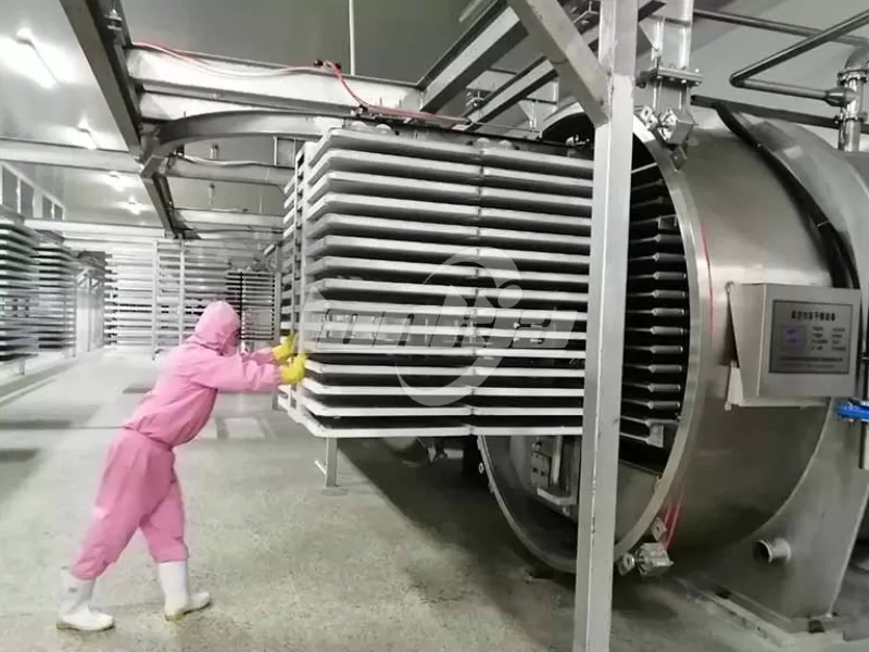 Factory Price Dog Food Freeze Dryer for Freeze Dried Pet Treats